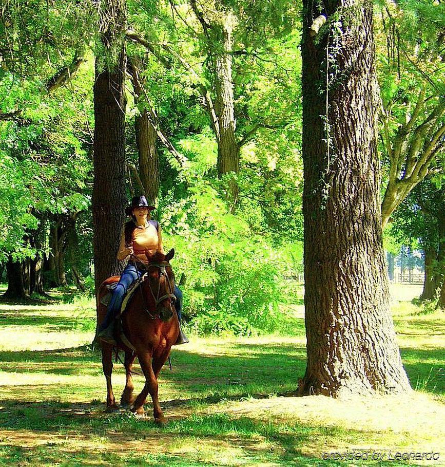 Estancia Monte Viejo Brandsen Ngoại thất bức ảnh